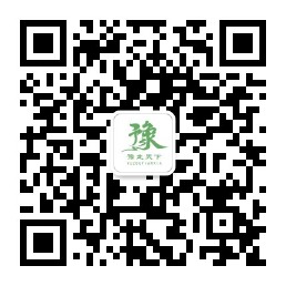 豫走天下