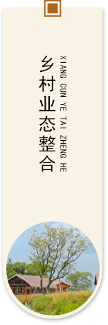 主要功能1