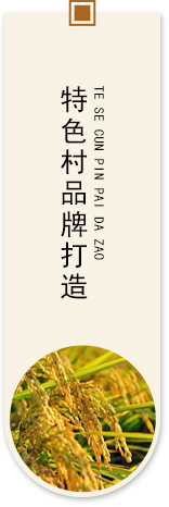 主要功能1